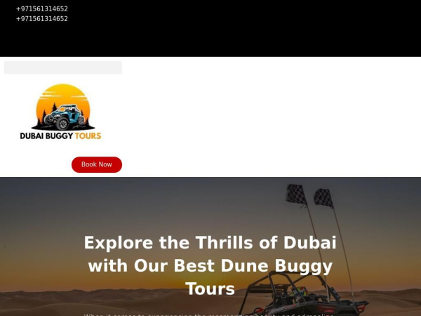 dubaibuggytourss.com