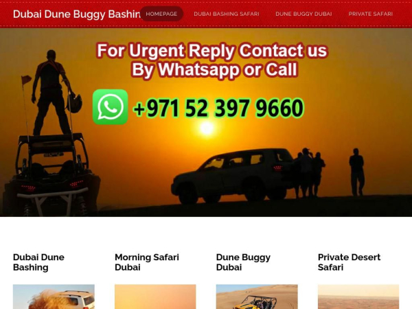 dubaidunebuggytours.com