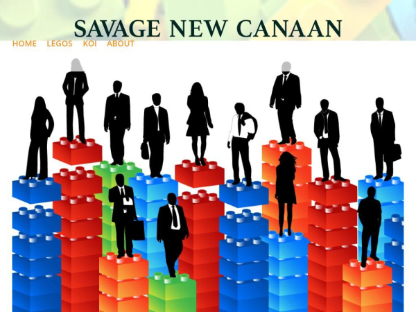 savagenewcanaan.com